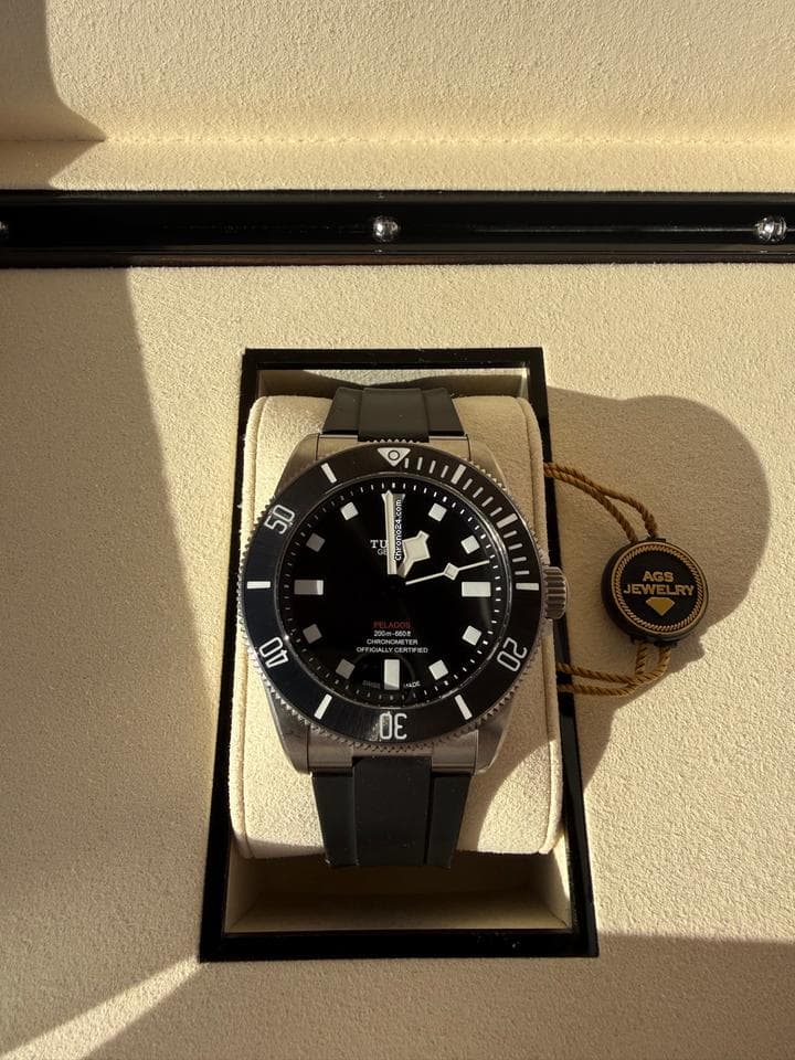Tudor Pelagos - Thumbnail 2