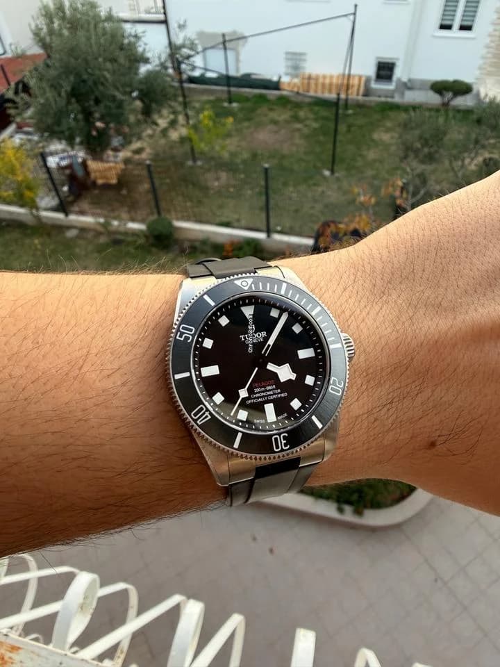Tudor Pelagos - Image 1